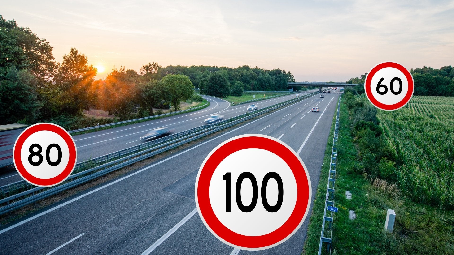 Mach ganz einfach Dein Navi zum Blitzerwarner