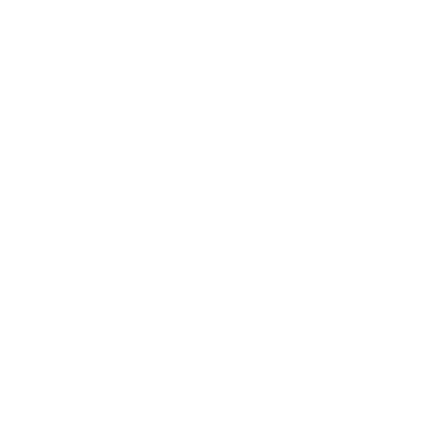 BLTZR WRNR - Dein Navi als Blitzerwarner!